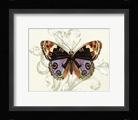 Butterfly Theme I Framed Print