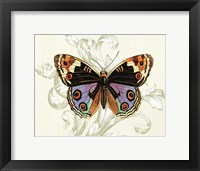 Butterfly Theme I Framed Print