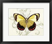 Butterfly Theme II Fine Art Print