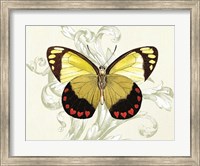 Butterfly Theme II Fine Art Print