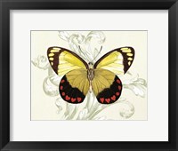 Butterfly Theme II Fine Art Print