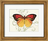 Butterfly Theme III Fine Art Print