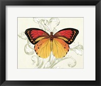 Butterfly Theme III Fine Art Print