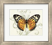 Butterfly Theme IV Fine Art Print