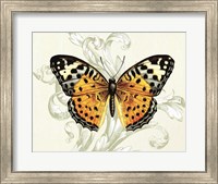 Butterfly Theme IV Fine Art Print