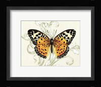 Butterfly Theme IV Framed Print