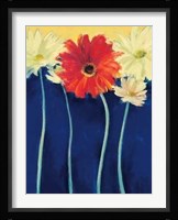 Red Head Fine Art Print