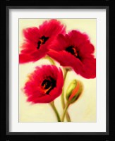Red Poppies Fine Art Print