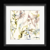 Flower Drips II Framed Print