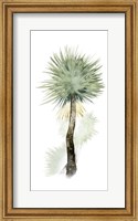 Palm in Watercolor II Fine Art Print