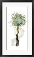 Palm in Watercolor II Framed Print