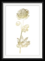 Gold Foil Singular Beauty I Fine Art Print