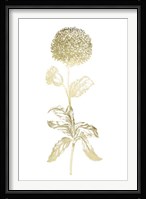 Gold Foil Singular Beauty II Fine Art Print