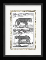 Gilded Safari III - Metallic Foil Framed Print