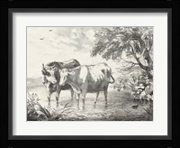 Rural Charms II Framed Print