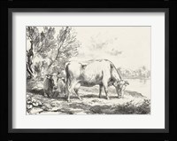 Rural Charms III Framed Print