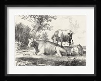 Rural Charms IV Framed Print