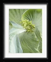 Banana Leaf II Fine Art Print