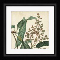 Garden Bounty II Fine Art Print