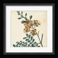 Garden Bounty III Fine Art Print