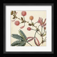 Garden Bounty IV Fine Art Print