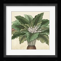 Garden Bounty V Fine Art Print