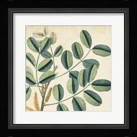 Garden Bounty IX Fine Art Print