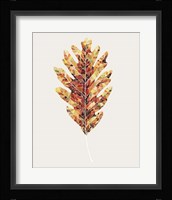 Fall Mosaic Leaf I Framed Print
