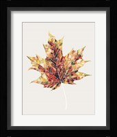 Fall Mosaic Leaf III Framed Print