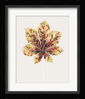 Fall Mosaic Leaf IV Framed Print