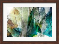 Agave Abstract II Fine Art Print