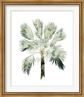 Watercolor Palm of the Tropics I Fine Art Print