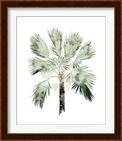 Watercolor Palm of the Tropics I Fine Art Print