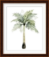 Watercolor Palm of the Tropics II Fine Art Print