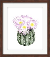 Cactus Bloom I Fine Art Print