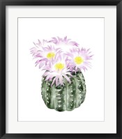 Cactus Bloom I Fine Art Print