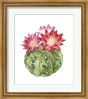 Cactus Bloom III Fine Art Print