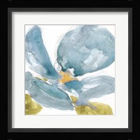 Flower Splash II Framed Print