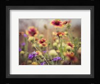 Wild Blooms I Fine Art Print