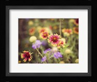 Wild Blooms III Fine Art Print