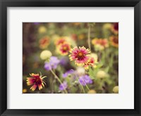 Wild Blooms III Framed Print