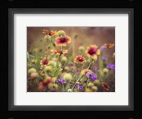 Wild Blooms IV Fine Art Print
