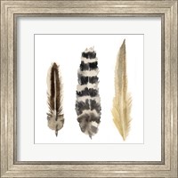 Watercolor Plumes II Fine Art Print