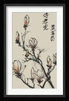 Mandarin Magnolia I Fine Art Print