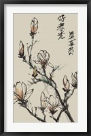 Mandarin Magnolia I Fine Art Print