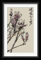 Mandarin Magnolia II Fine Art Print