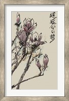 Mandarin Magnolia II Fine Art Print