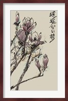 Mandarin Magnolia II Fine Art Print