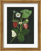 Strawberry Fields I Fine Art Print