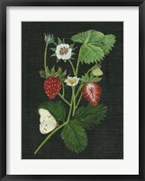 Strawberry Fields I Fine Art Print